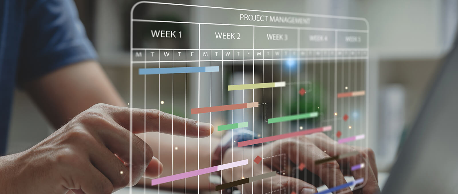Project and Program Management